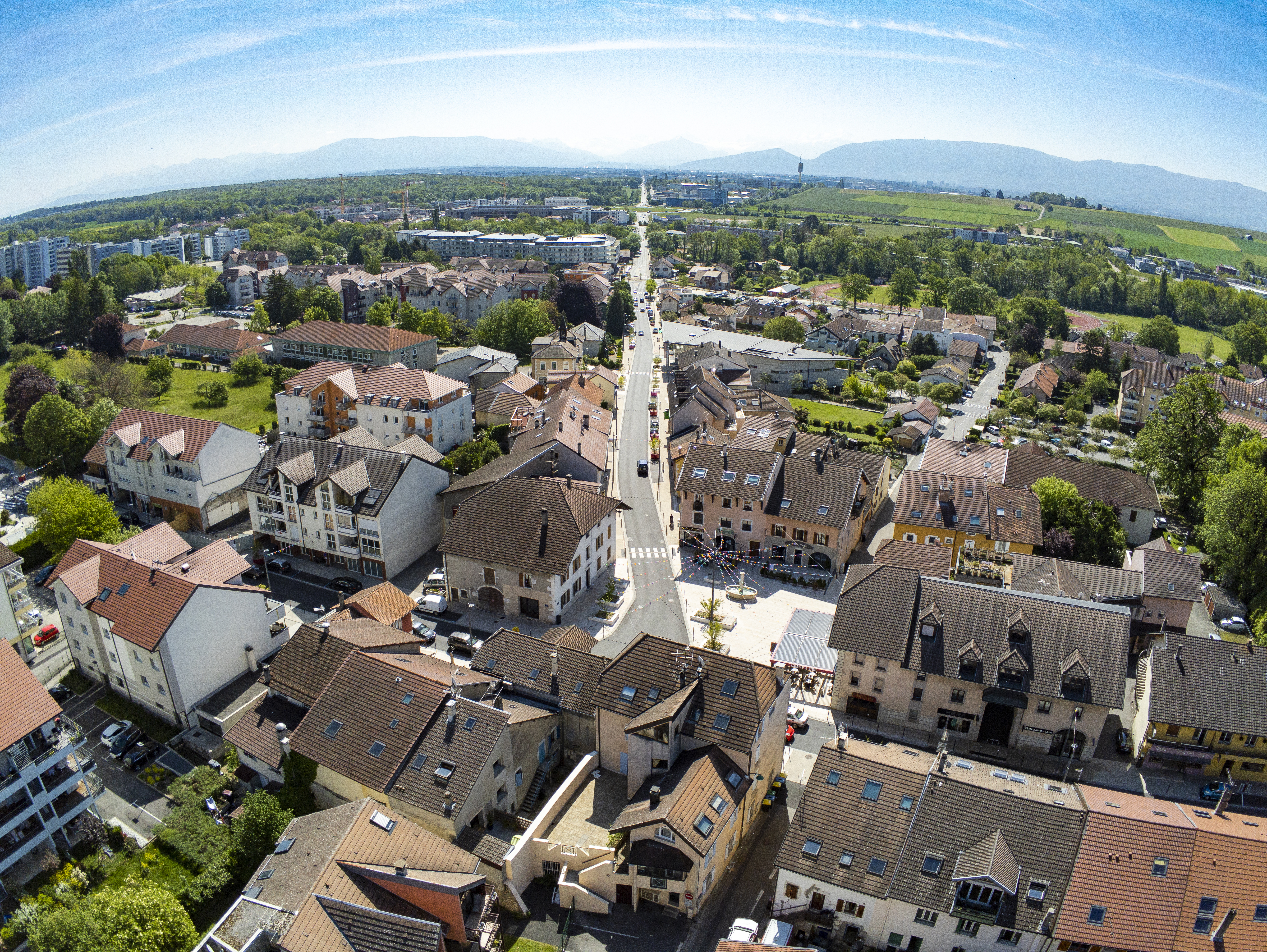 lively background image